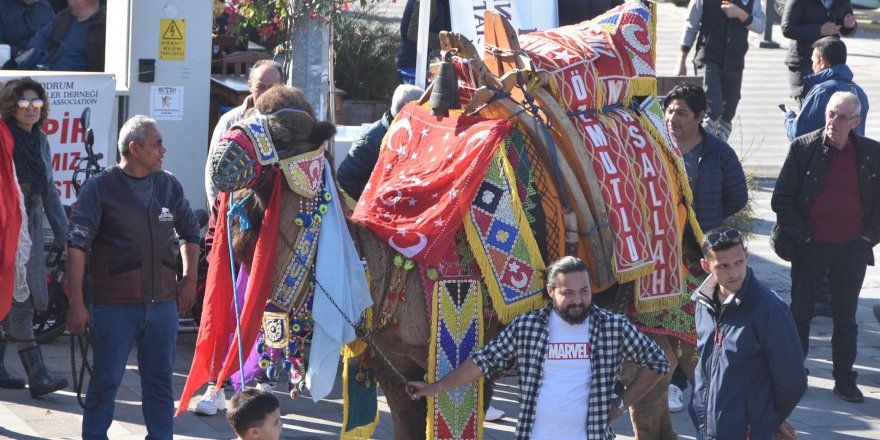 Bodrum sokaklarına develer çıktı, turistler fotoğraf çektirdi