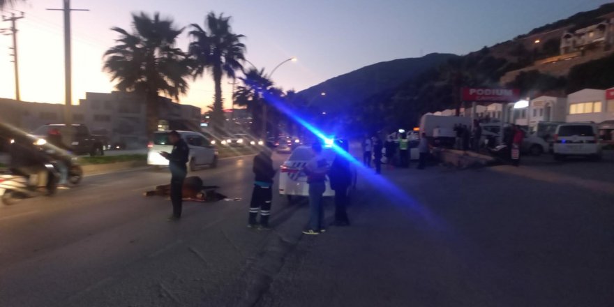 Bodrum'da otomobilin çarptığı at öldü