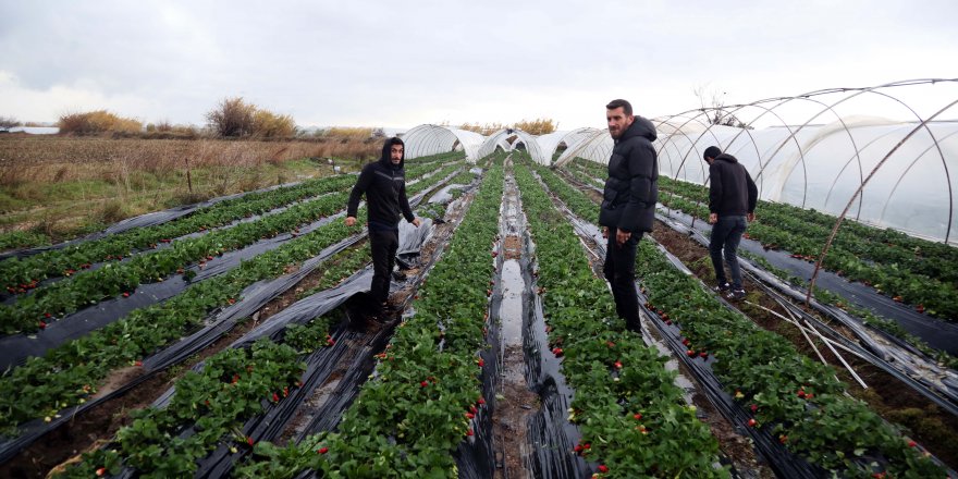 Antalya'da metrekareye 173 kilo yağmur, hızı 122 kilometreye ulaşan fırtına (4)