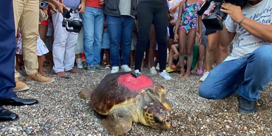 Kıbrıs Barış Harekatı'nın yıl dönümünde denize bırakıldı, 2 bin 500 kilometre yol katetti