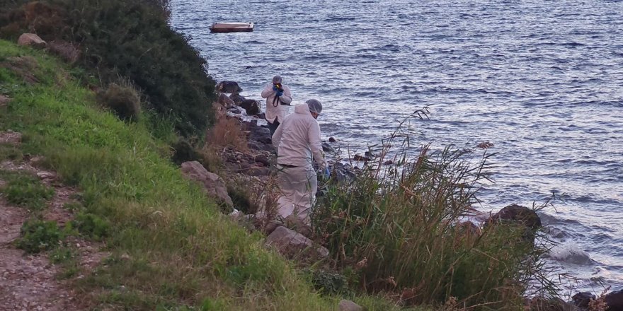 Bodrum'da sahile belden yukarısı olmayan çürümüş ceset vurdu