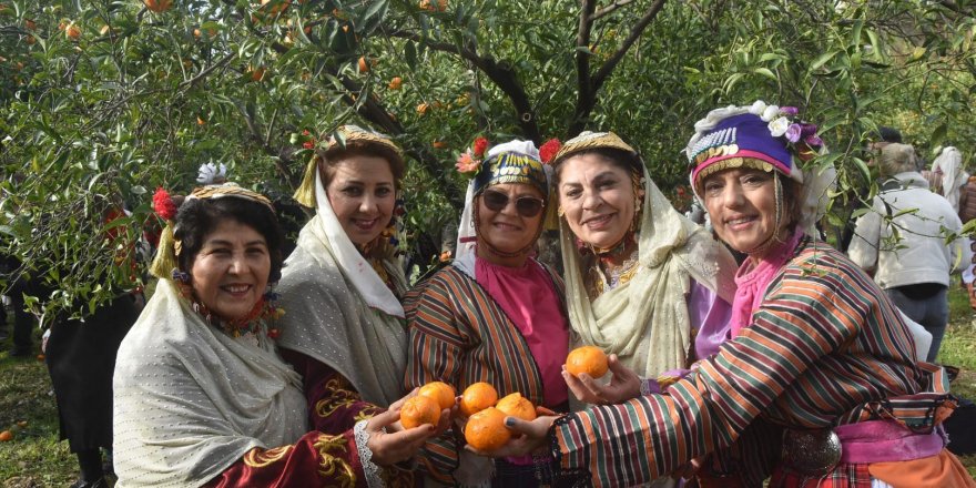 Coğrafi işaretli Bodrum mandalinası için festival