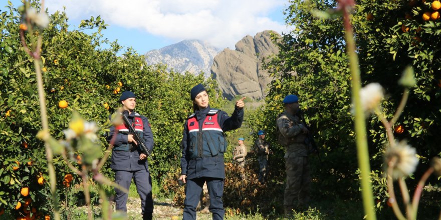 Jandarma komandoların 'narenciye' nöbeti