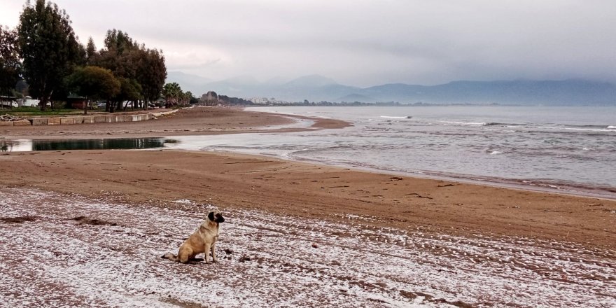 Antalya Finike'ye sulu kar ve dolu yağdı