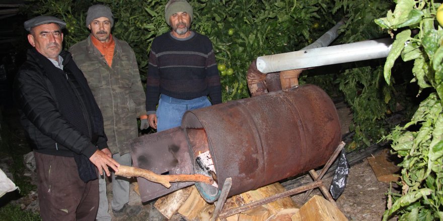 Antalya'da seralarda 'don' nöbeti