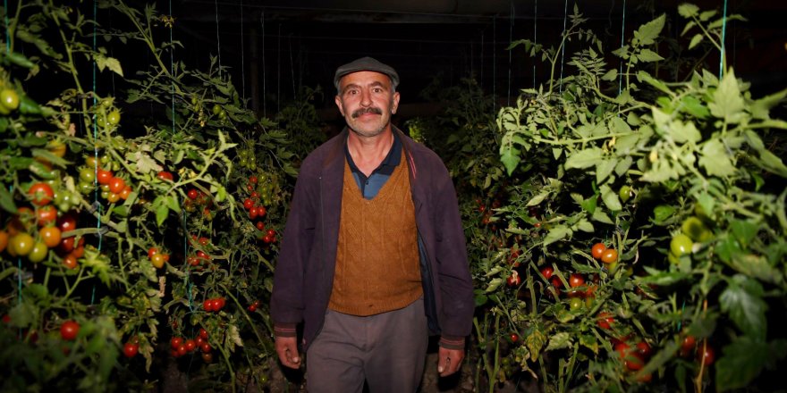 Konyaaltı Belediesi'nden sera üreticilerine ücretsiz yakıt desteği