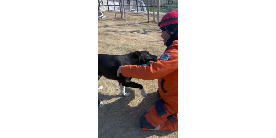 Kepez Belediyesi enkazdan kurtardığı köpeği sahiplendi