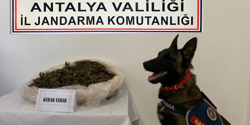 Jandarma aranan 210 şüpheliyi yakaladı