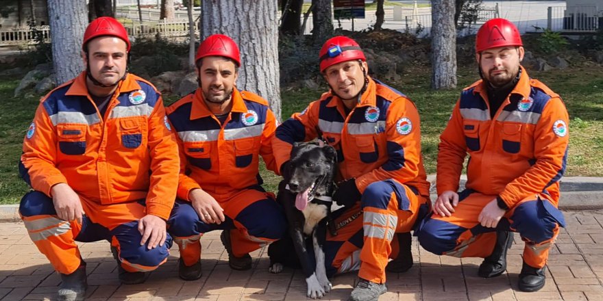 Depremzede köpek 'Hayat', yeni hayatlar kurtaracak