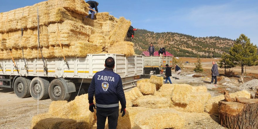 Konyaaltı'ndan afetzede üreticilere yem ve saman desteği