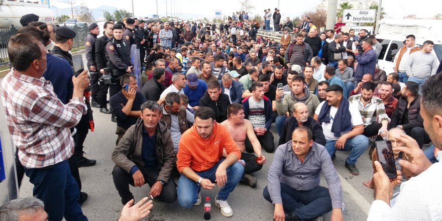 Domates üreticileri yol kapatıp, ihracat kısıtlamasının kaldırılmasını istedi