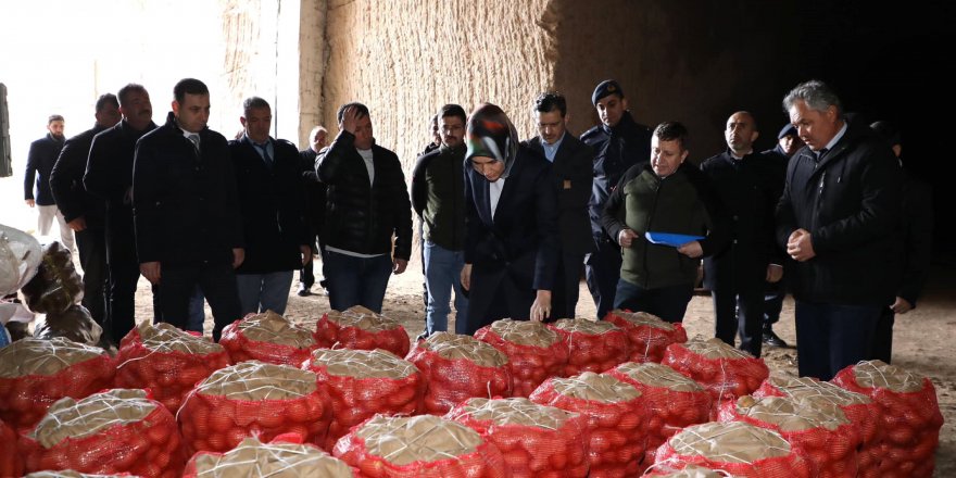 Vali Yiğitbaşı, doğal soğuk hava depolarını inceledi