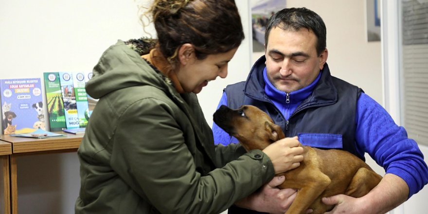 Depremzede çift, enkazdan yaralı kurtarılan köpeği sahiplendi