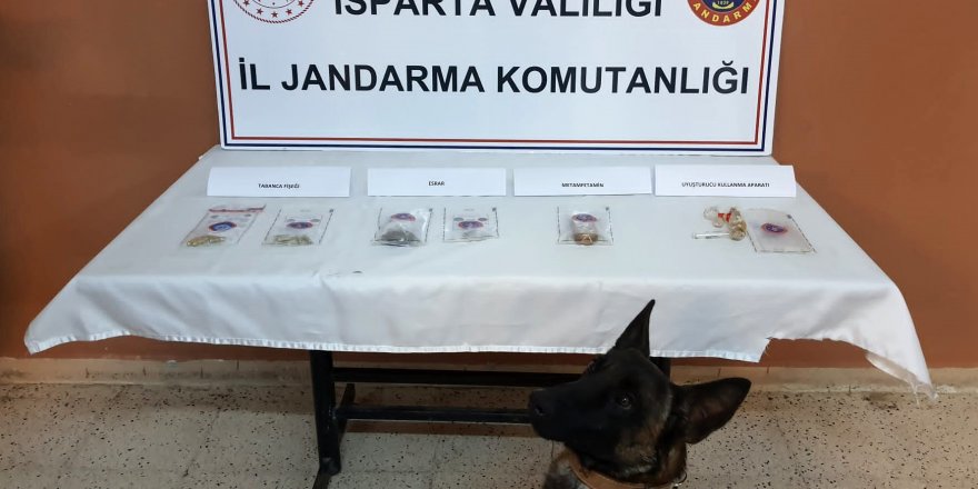 Isparta'da 3 ayda 168 şüpheli yakalandı