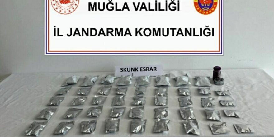 Bodrum'da uyuşturucu ticareti yapan şüpheliye gözaltı