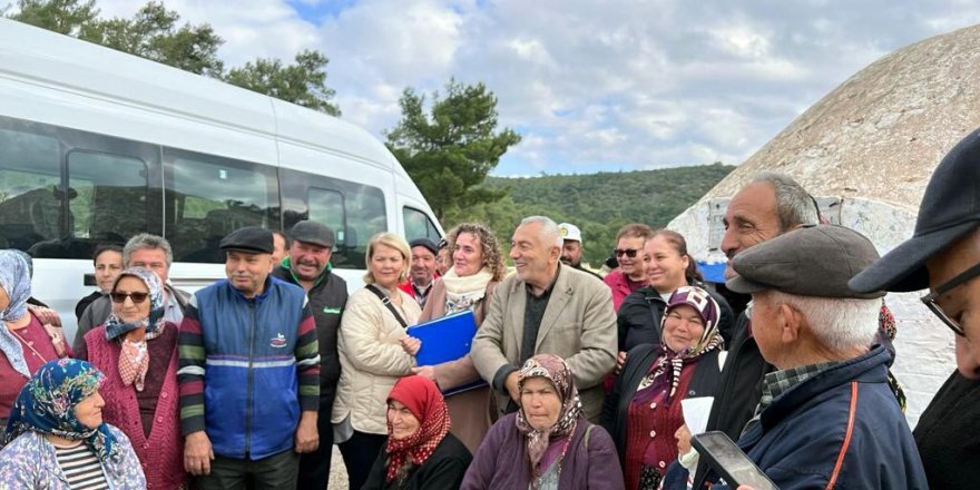 Bodrum'da taş ocağının bilirkişi raporu; toz, orman ve zeytin ağaçlarını olumsuz etkileyebilir