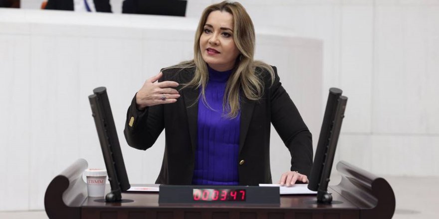 İYİ Parti'de Aylin Cesur liste başı