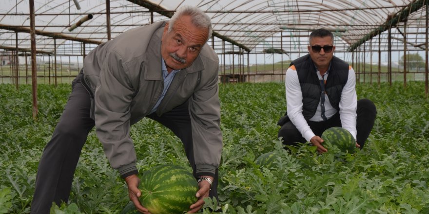 Serikli üretici karpuz hasadına hazırlanıyor