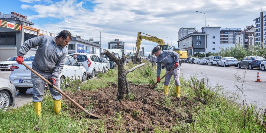 Kepez'den doğaya saygı