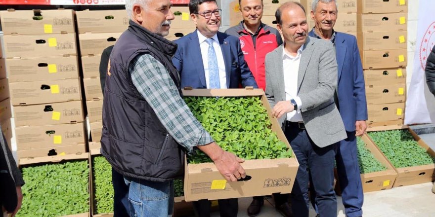 Muğla'nın ata tohumları toprakla buluşuyor