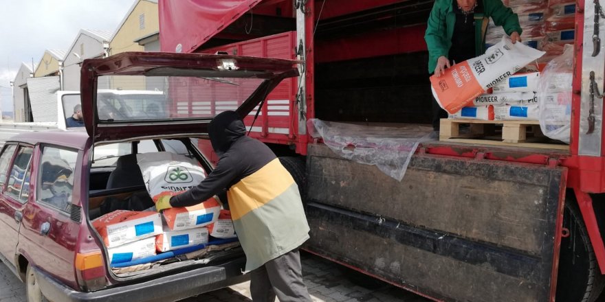 Çiftçilere yüzde 75 hibe ile ayçiçeği tohumu dağıtıldı