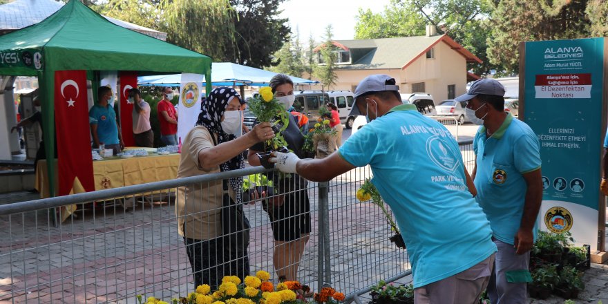 Alanya Belediyesi 62 bin 500 çiçek dağıtacak