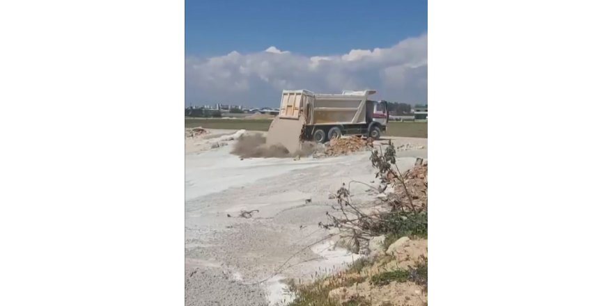 Üzerlerine beton atık suyu dökülen 5 yavru köpekten 3'ü öldü