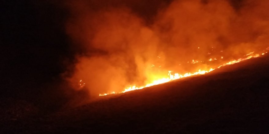 Bodrum'da makilik yangını