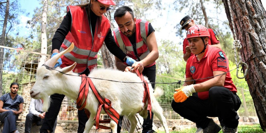 Konyaaltı personeli, hayvan kurtarma eğitimini tamamladı