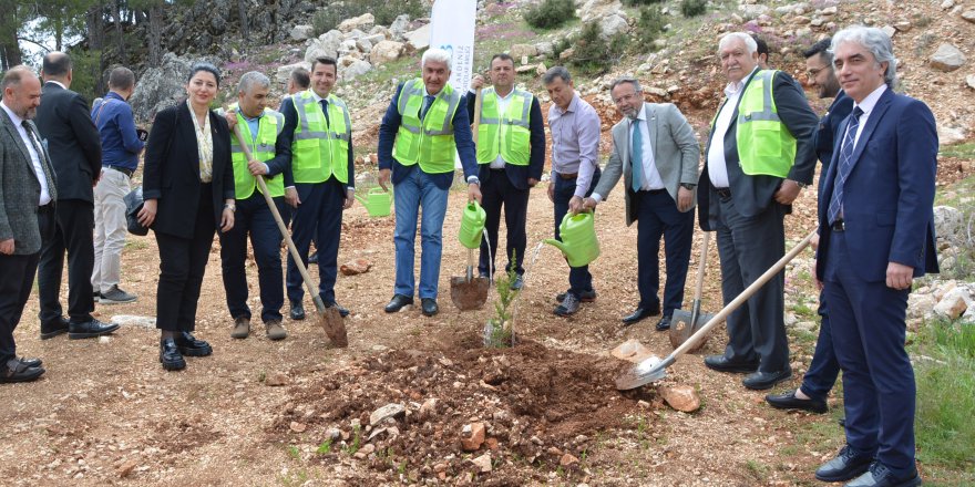 BAİB, mermer ocağını rehabilite ederek, ağaçlandırdı