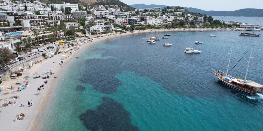 Bodrum'da oyunu kullanan sahile akın etti