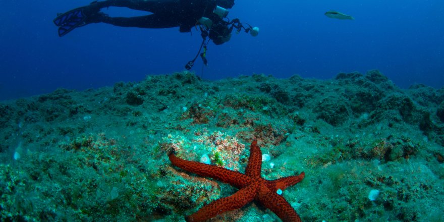 Uluslararası Kemer Sualtı Günleri başlıyor