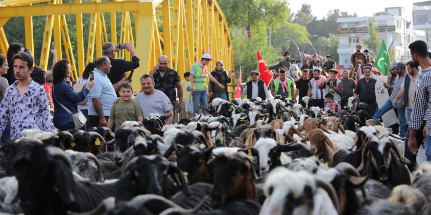 Manavgat'ta Yörük Göçü yapıldı