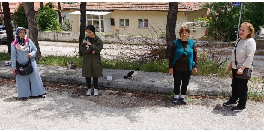 Mahallelinin beslediği kedi, ayakları kesilmiş halde ölü bulundu