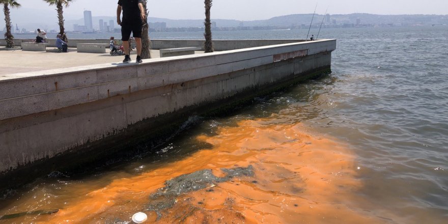 İzmir Körfezi'nde 'kırmızı- turuncu renk' uyarısı