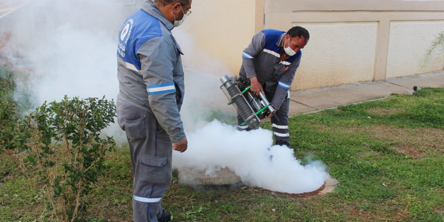 Sineksiz yaz için ilaçlama ordusu iş başında