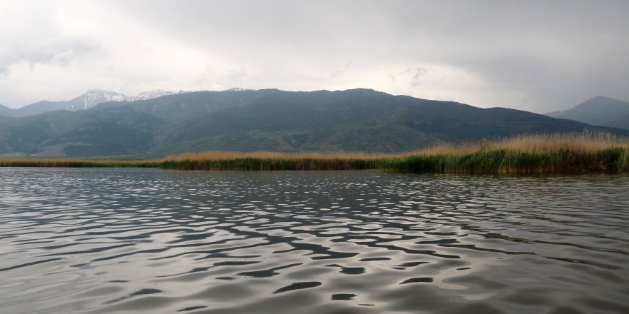 Bahar yağmurları ile Eber Gölü'nün su seviyesi yükseldi