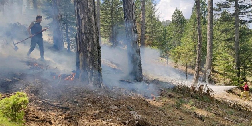 Muğla'da 1,5 ayda düşen yıldırımlar nedeniyle 28 orman yangını çıktı