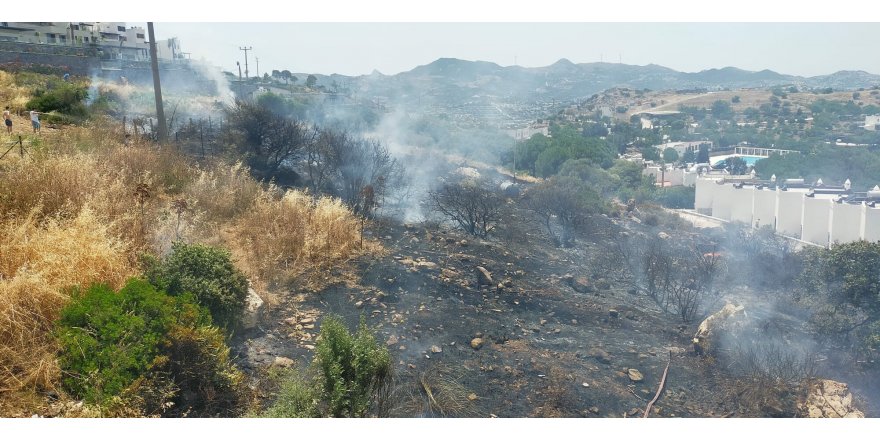 Bodrum'da makilik yangınına milli ve yerli helikopter Nefes'le müdahale