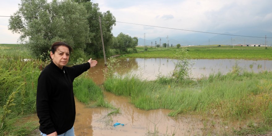 Yağış tarım arazilerine zarar verdi