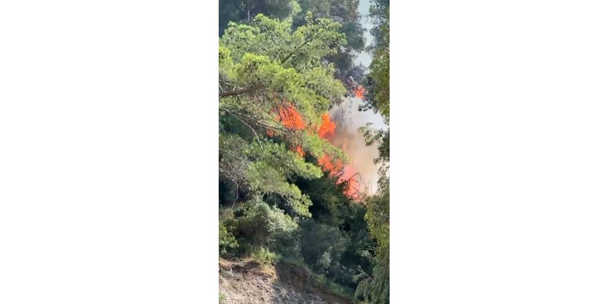 Antalya'da orman yangını (1)