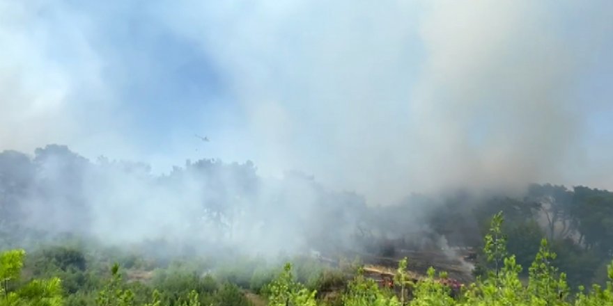 Antalya'da orman yangını (2)- Yeniden