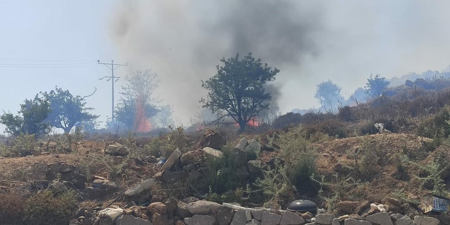 Bodrum'da alevler 20 dönüm makiliği küle çevirdi 