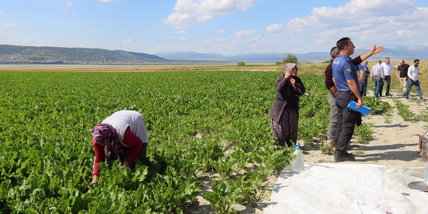 Tarlada çalışırken omzuna yorgun mermi isabet etti