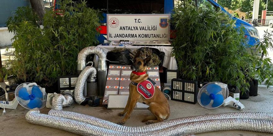 Jandarma uyuşturucu tacirlerine geçit vermiyor