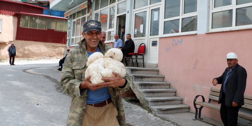 Doğada 3 kilo 135 gram mantar buldu