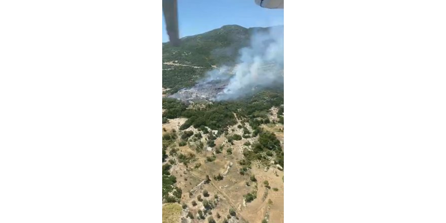 Antalya'da orman yangını; 1 saatte söndürüldü