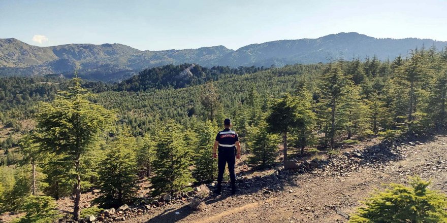 Muğla'da bazı bölgelerde ormanlara giriş yasaklandı