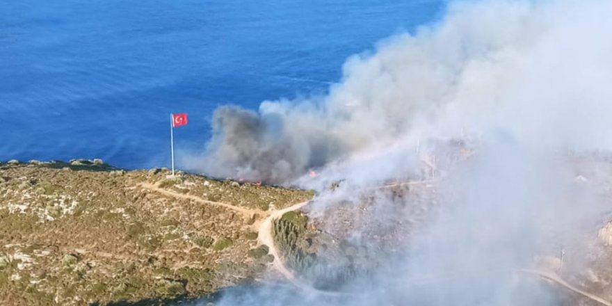 Datça'da yerleşim yerine yakın bölgede otluk alanda yangın çıktı (4)