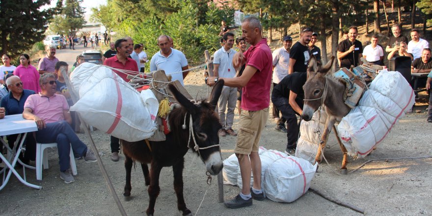 Bayram festivalinde eşeğe saman yükleme yarışması ilgi gördü